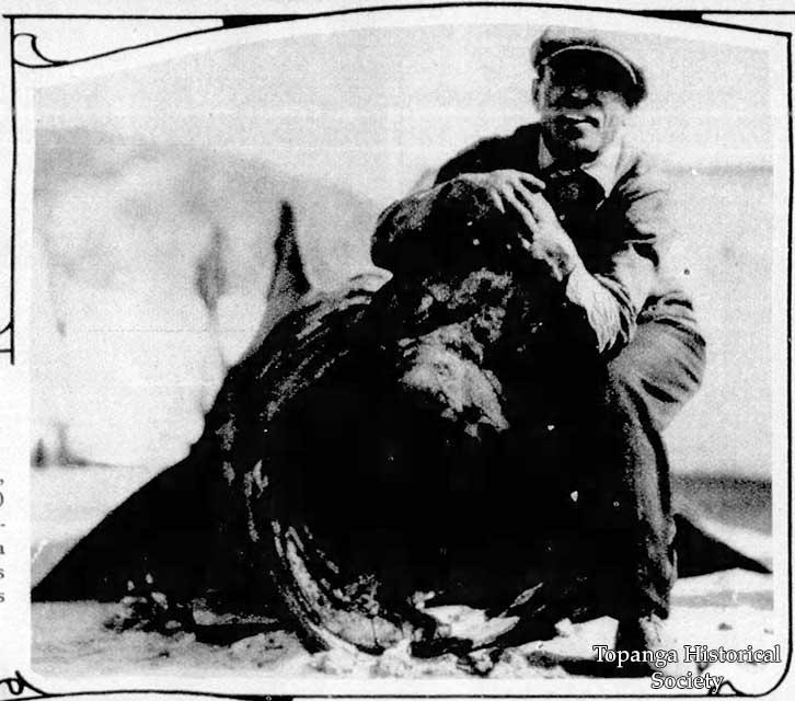 1929-01-27 Baskell Shark - Baltimore_Sun ps 1 w.jpg