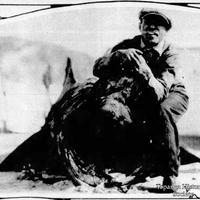 1929-01-27 Baskell Shark - Baltimore_Sun ps 1 w.jpg