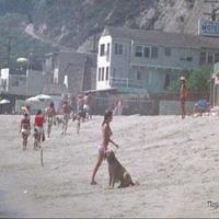 5 Las Tunas Isle Motel, 1970s w.jpg